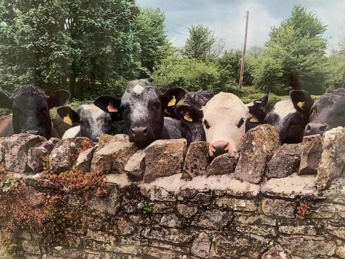 Tytherington The Milking Shedsアパートメント エクステリア 写真